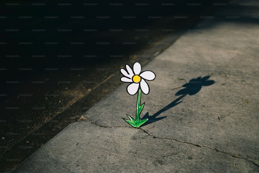 摇滚乐队ELLEGARDEN动画《海贼王》的全新主题曲